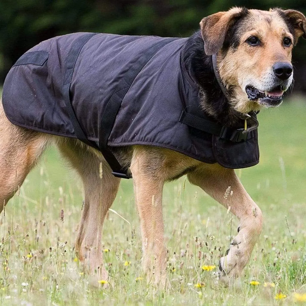 Clancy Oilskin Dog Coat