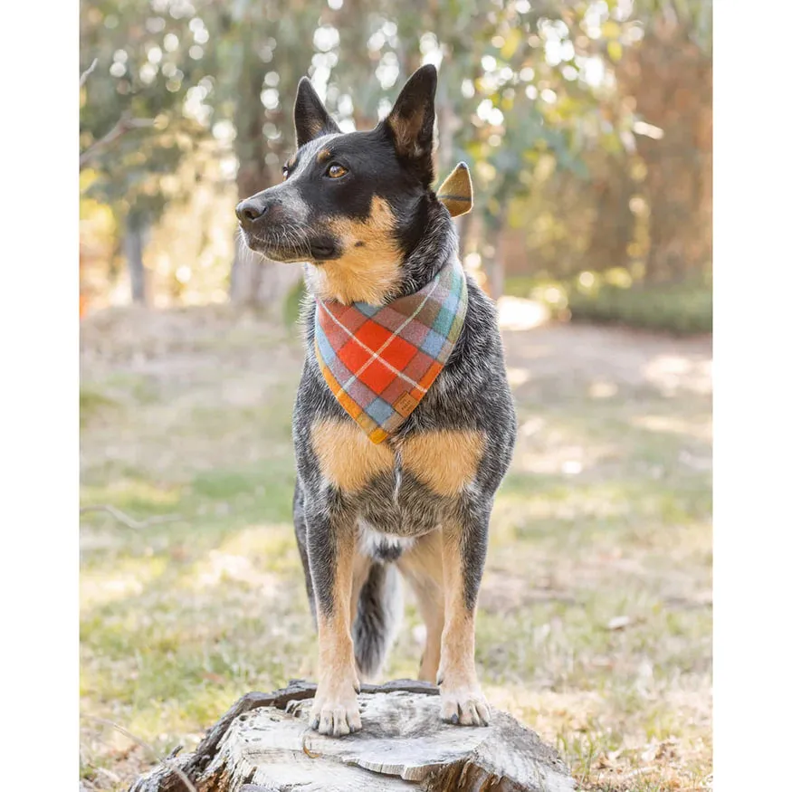 Dog and Cat Bandana: Buchanan Plaid Flannel