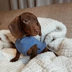 Fleece Dachshund Jacket