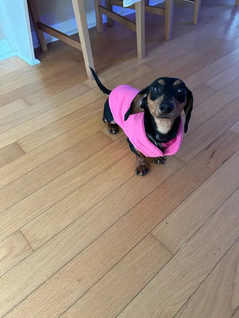 Fleece Dachshund Jacket