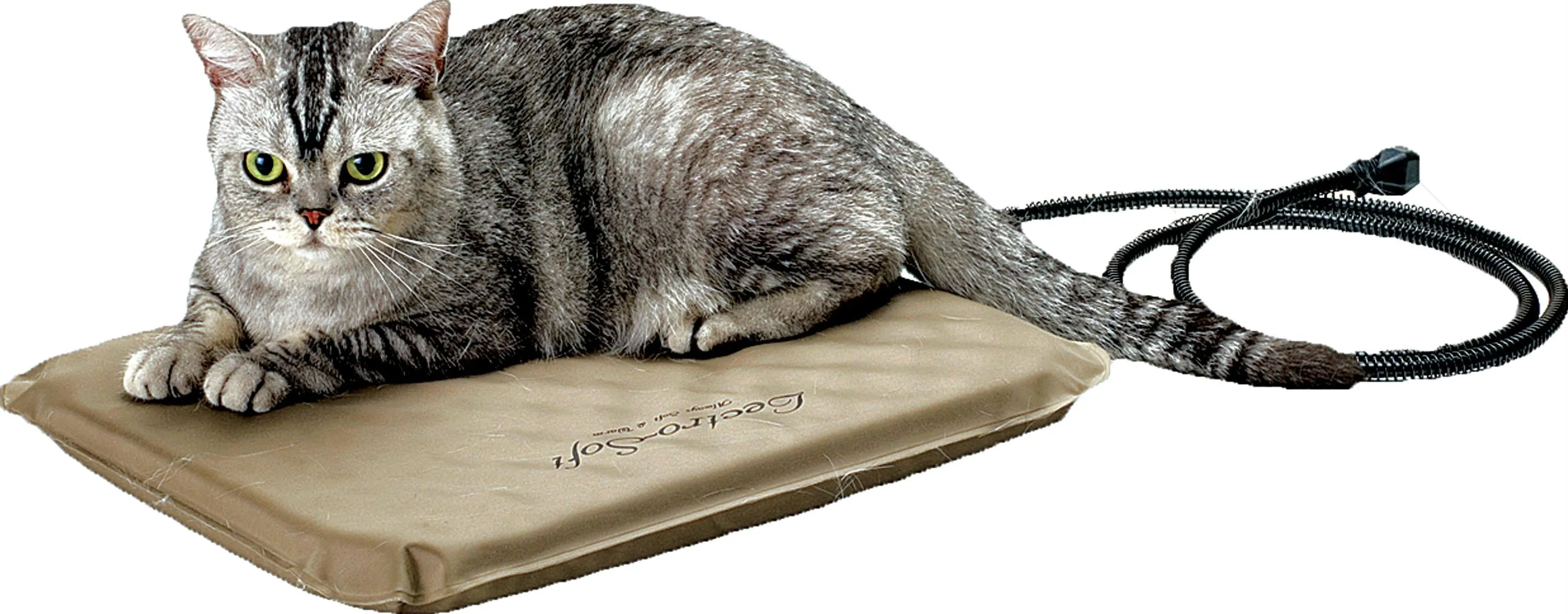 Lectro-soft Heated Bed